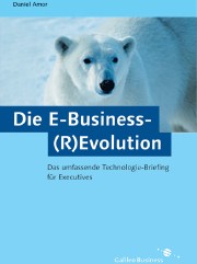 E-Business (R)Evolution, 2. Auflage